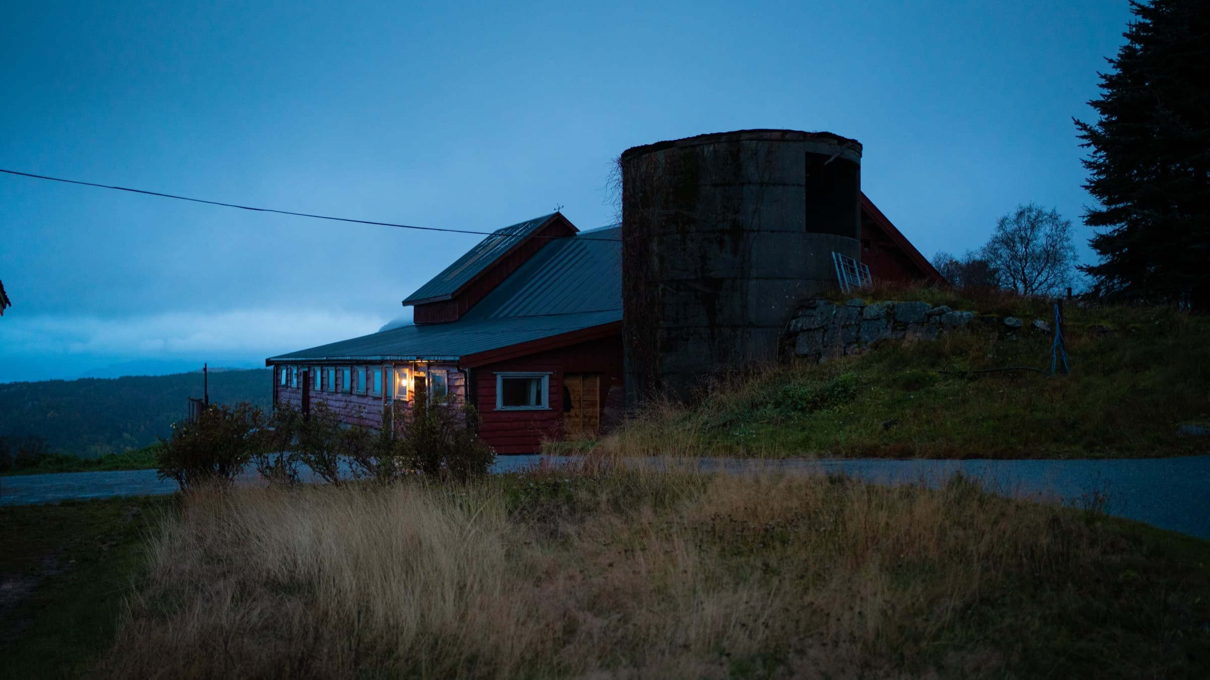 Den norske juletreskogen — kundecase
