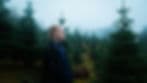 Rekker av juletrær i skogen